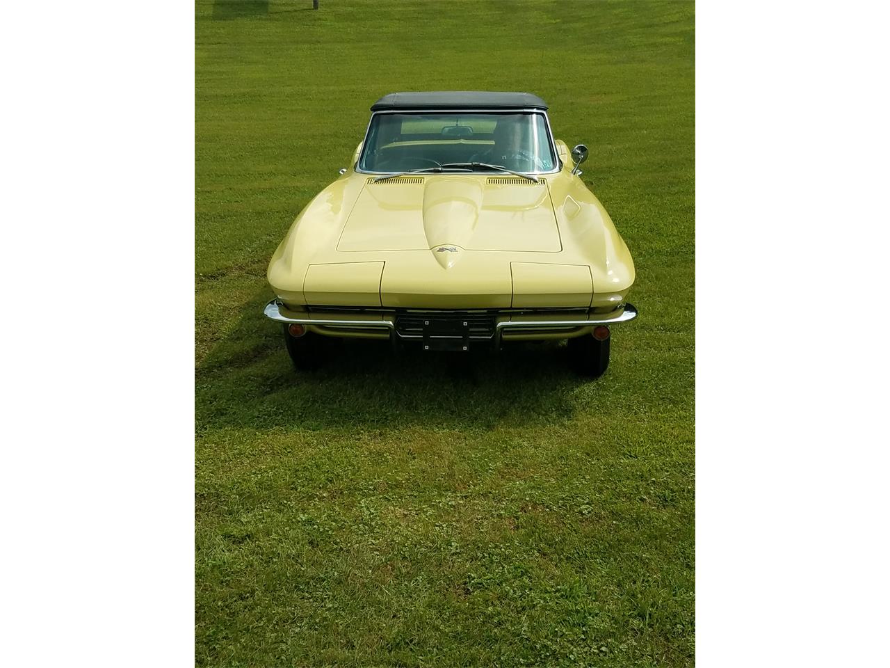 1967 Chevrolet Corvette for sale in Indiana, PA
