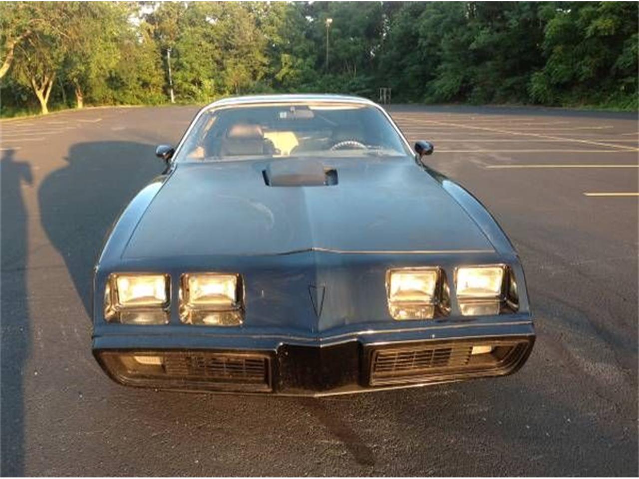 1979 Pontiac Firebird for sale in Cadillac, MI – photo 5