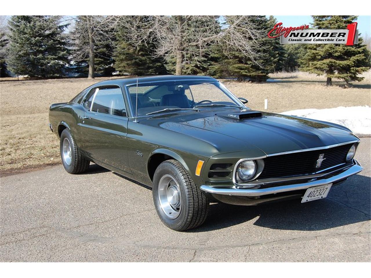 1970 Ford Mustang for sale in Rogers, MN