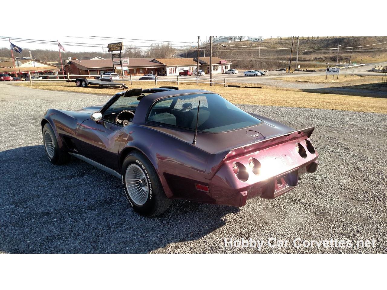 1979 Chevrolet Corvette for sale in Martinsburg, PA – photo 10