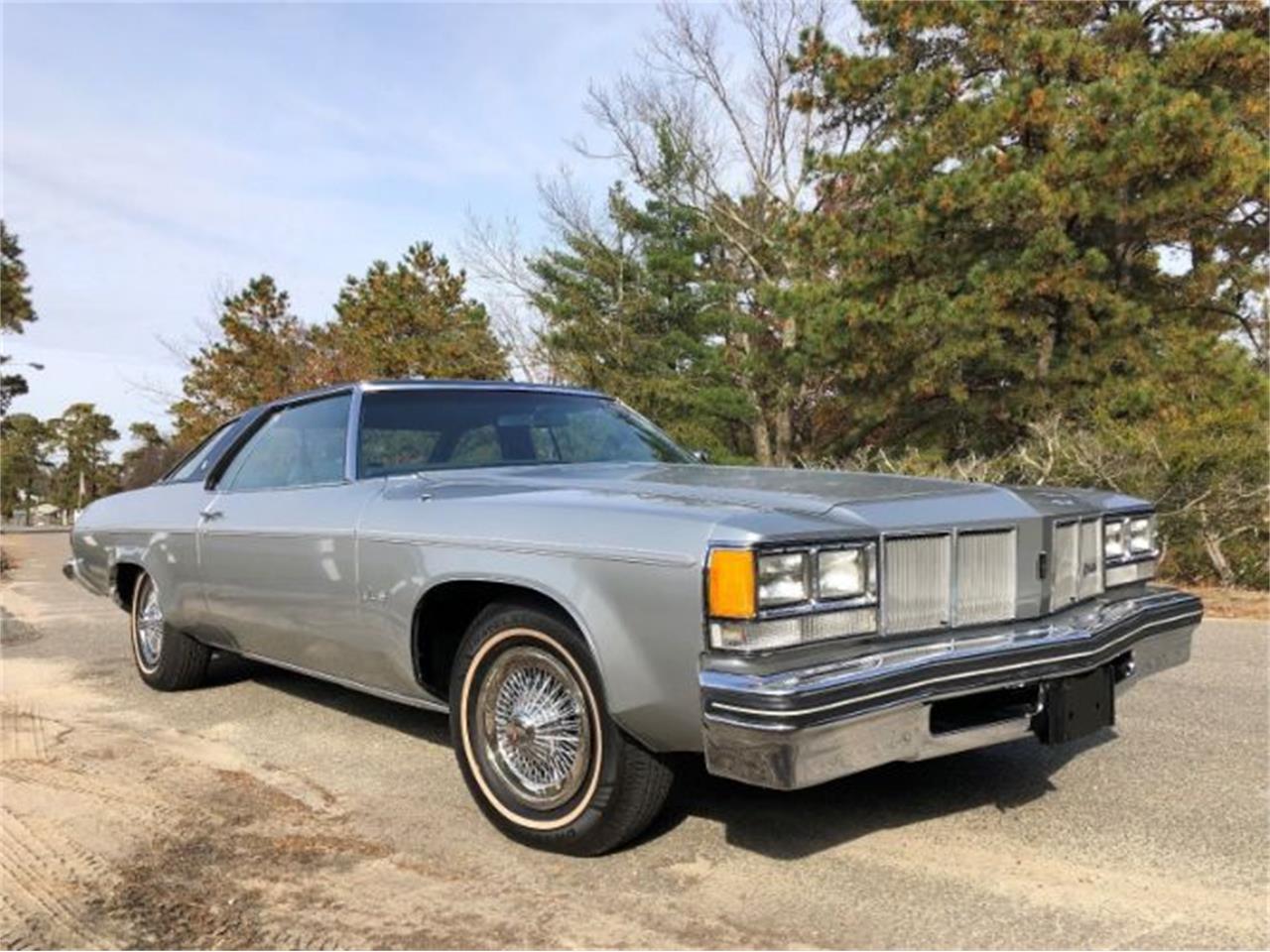 1976 Oldsmobile Delta 88 for sale in Cadillac, MI – photo 3