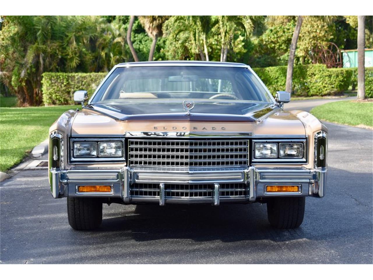 1978 Cadillac Eldorado for sale in Delray Beach, FL – photo 9