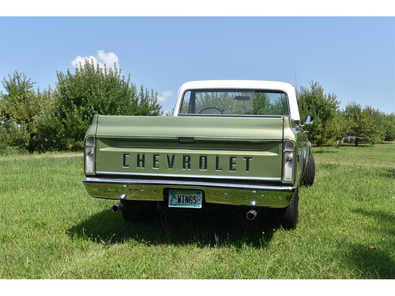 1970 Chevrolet C10 for sale in Buchanan, MI – photo 4