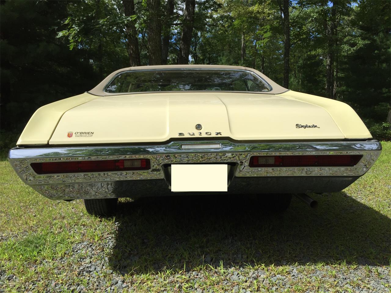 1969 Buick Skylark for sale in Glen Spey, NY – photo 5