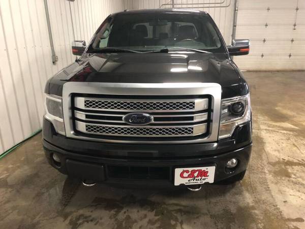 2014 f150 platinum 3.5 ecoboost 4x4 for sale in Worthing, IA – photo 2