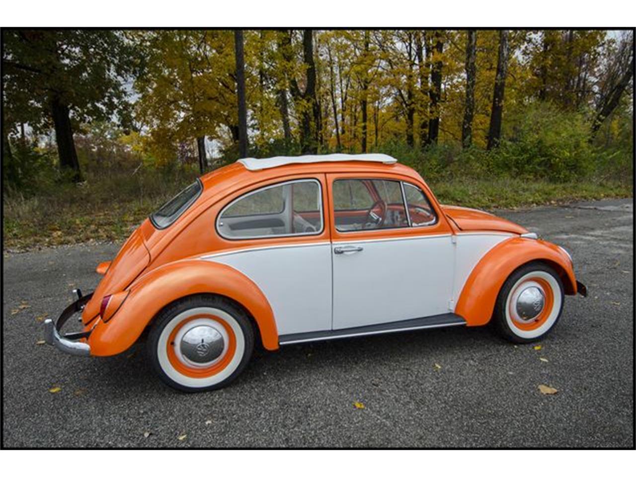 1965 Volkswagen Beetle for sale in Indianapolis, IN – photo 2