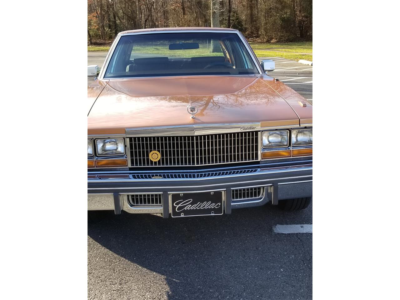 1979 Cadillac Seville for sale in Fort Washington , MD – photo 9