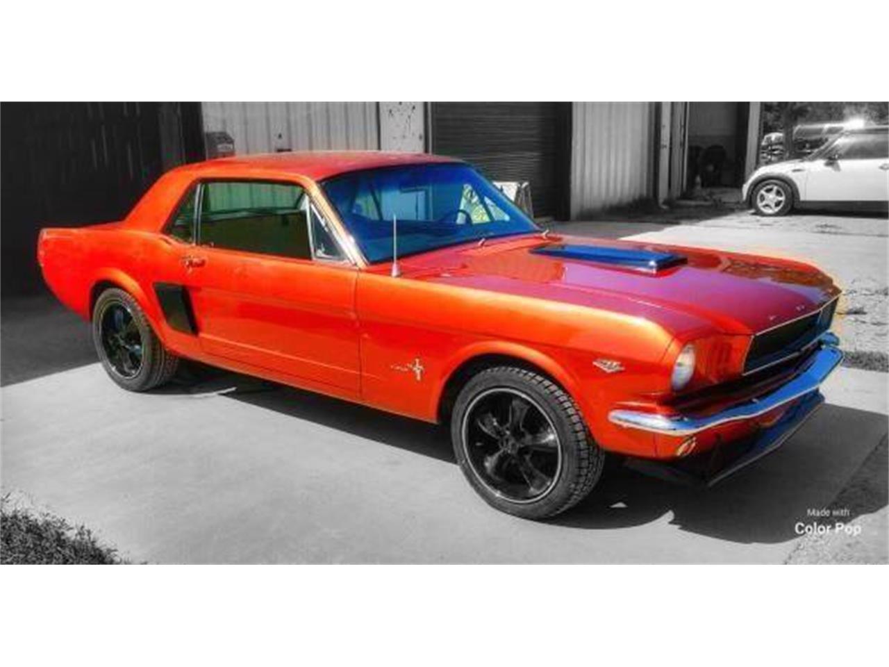 1965 Ford Mustang for sale in Long Island, NY