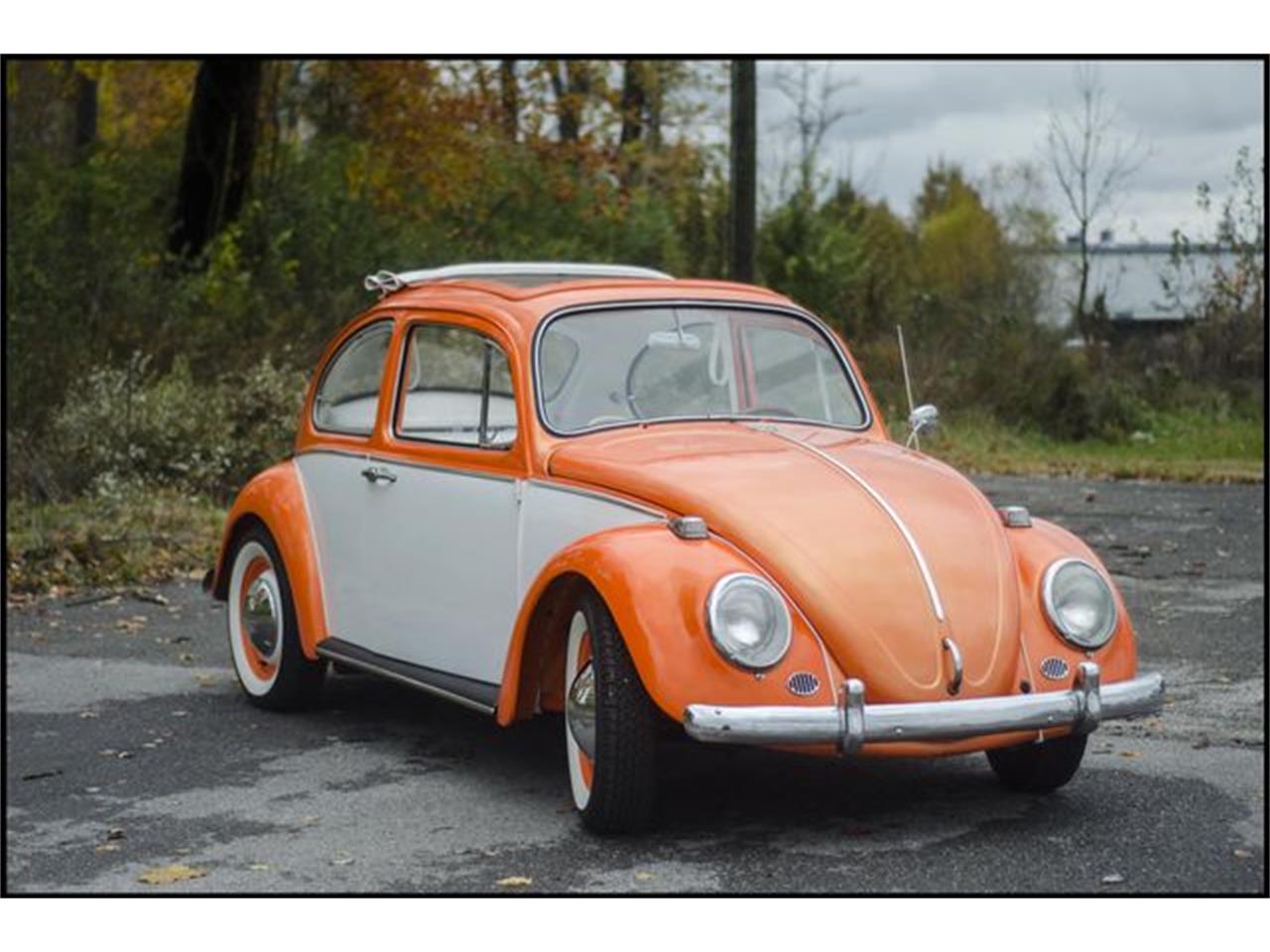 1965 Volkswagen Beetle for sale in Indianapolis, IN – photo 12