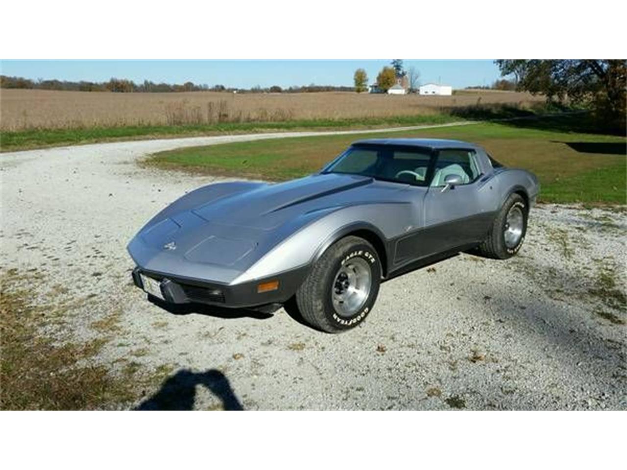 1978 Chevrolet Corvette for sale in Cadillac, MI – photo 6