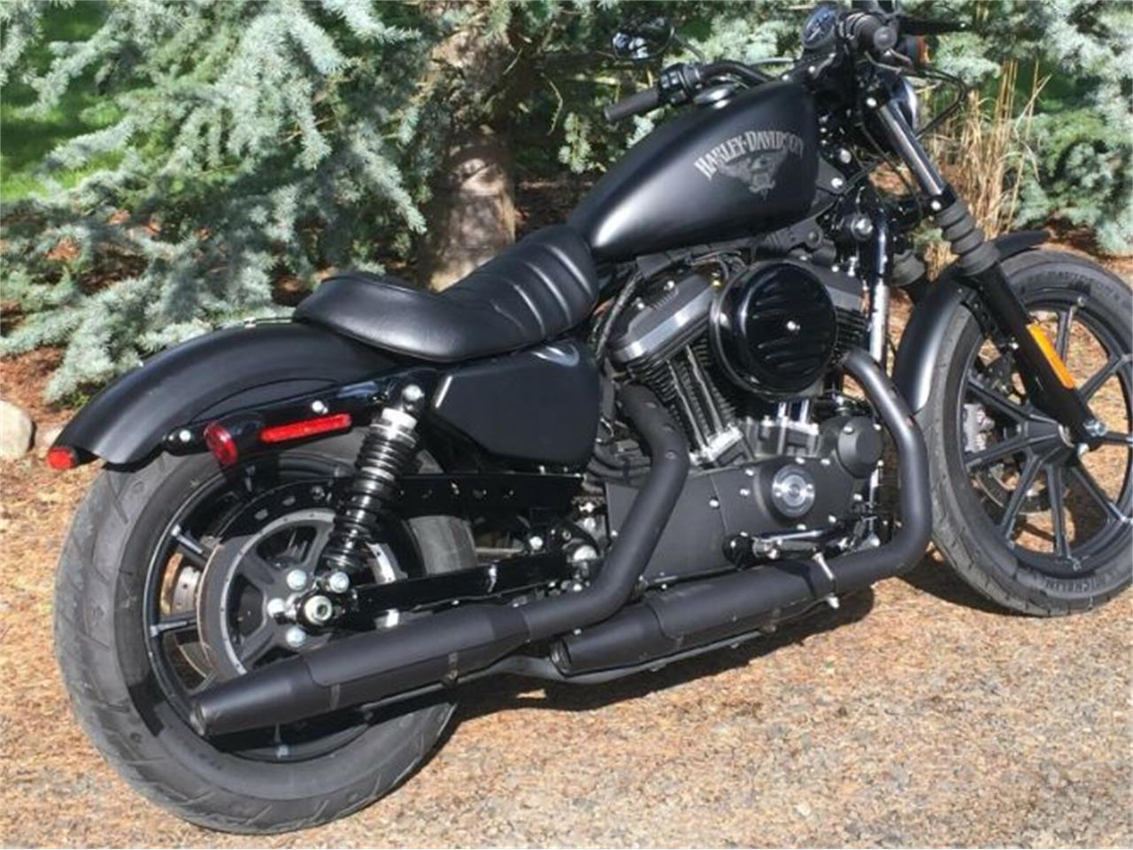 2018 Harley-Davidson Sportster for sale in Cadillac, MI – photo 11