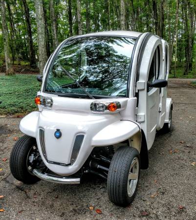 2015 GEM e4 Electric Vehicle for sale in Petoskey, MI