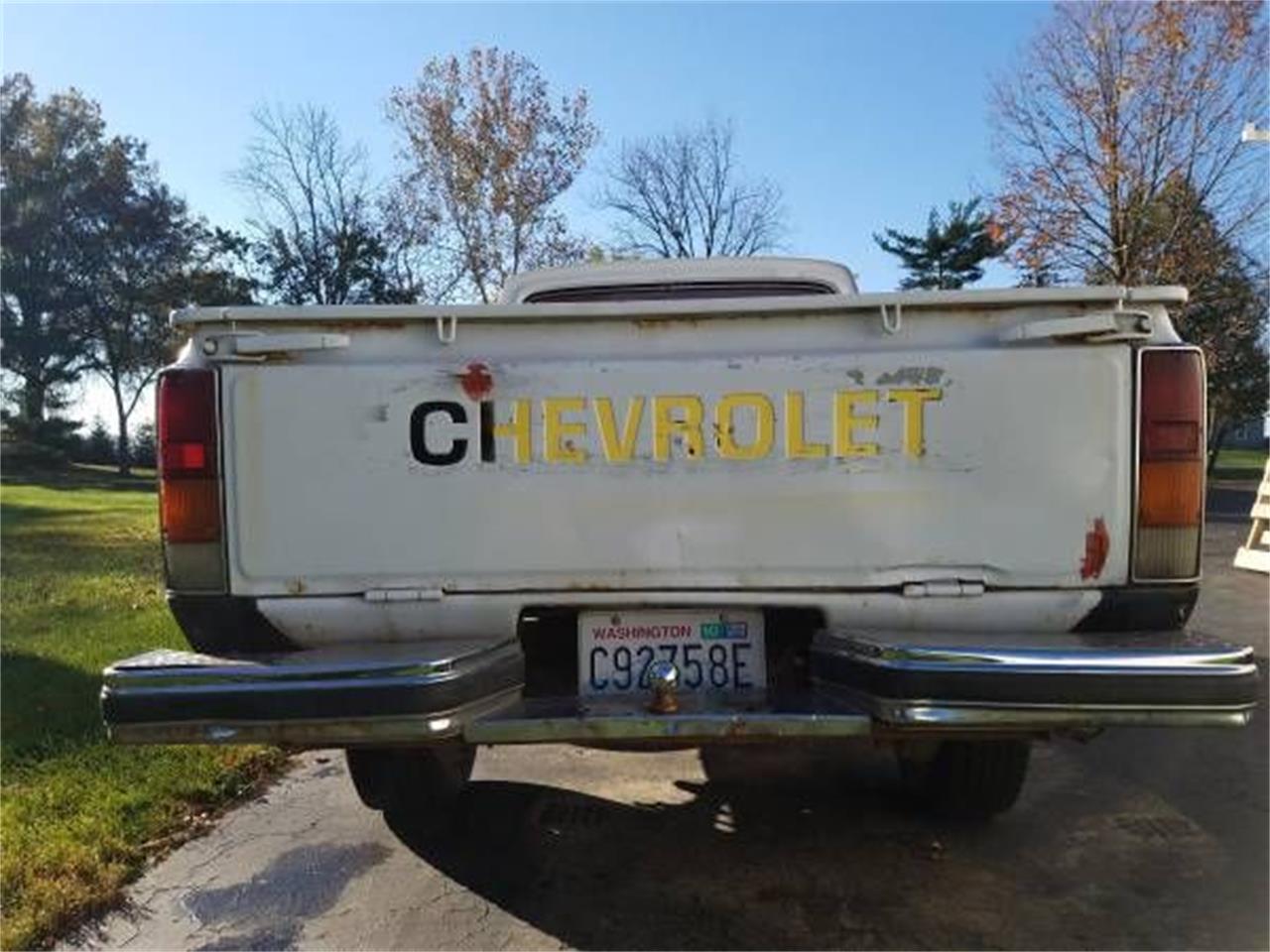 1979 Chevrolet Pickup for sale in Cadillac, MI – photo 5