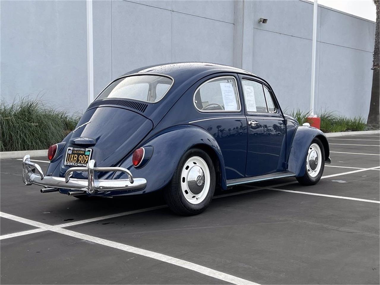 1967 Volkswagen Beetle for sale in Ventura, CA – photo 3