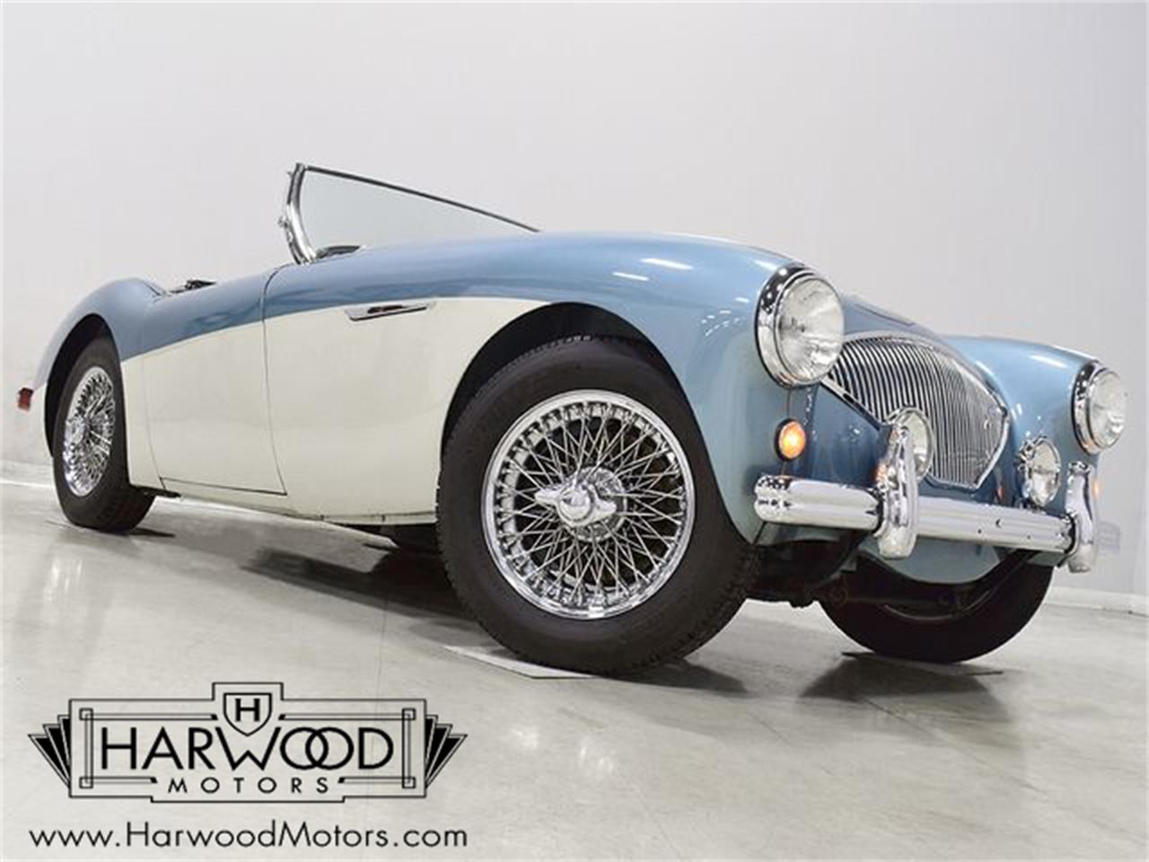 1955 Austin-Healey 100-4 for sale in Macedonia, OH