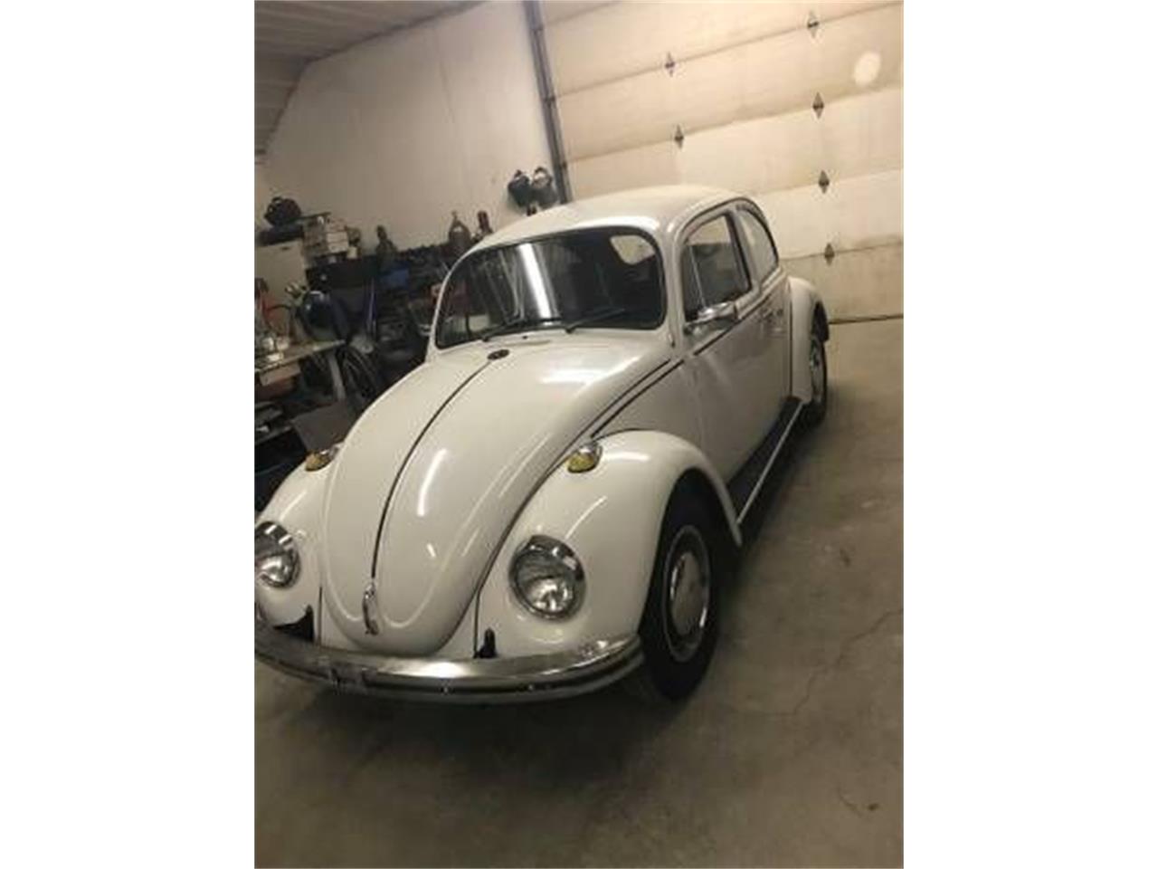 1969 Volkswagen Beetle for sale in Cadillac, MI – photo 3