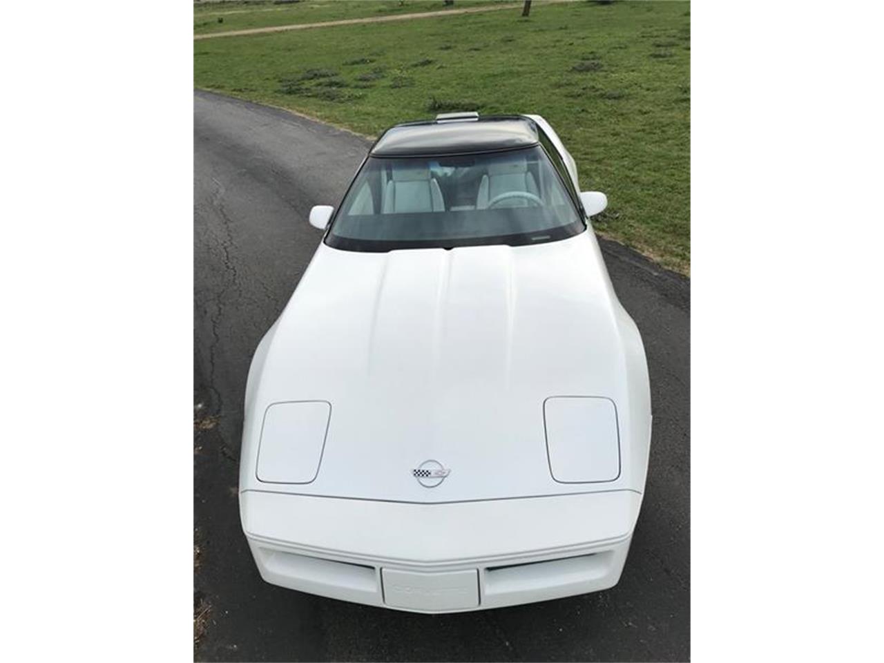 1988 Chevrolet Corvette for sale in Fredericksburg, TX – photo 10