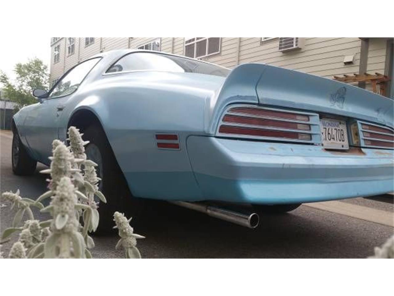 1977 Pontiac Firebird for sale in Cadillac, MI – photo 8