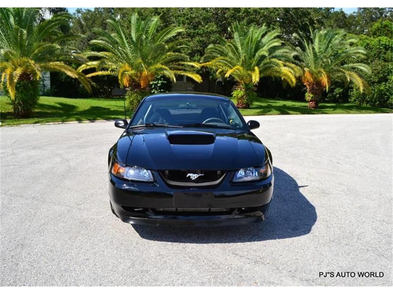 2004 Ford Mustang for sale in Clearwater, FL – photo 6