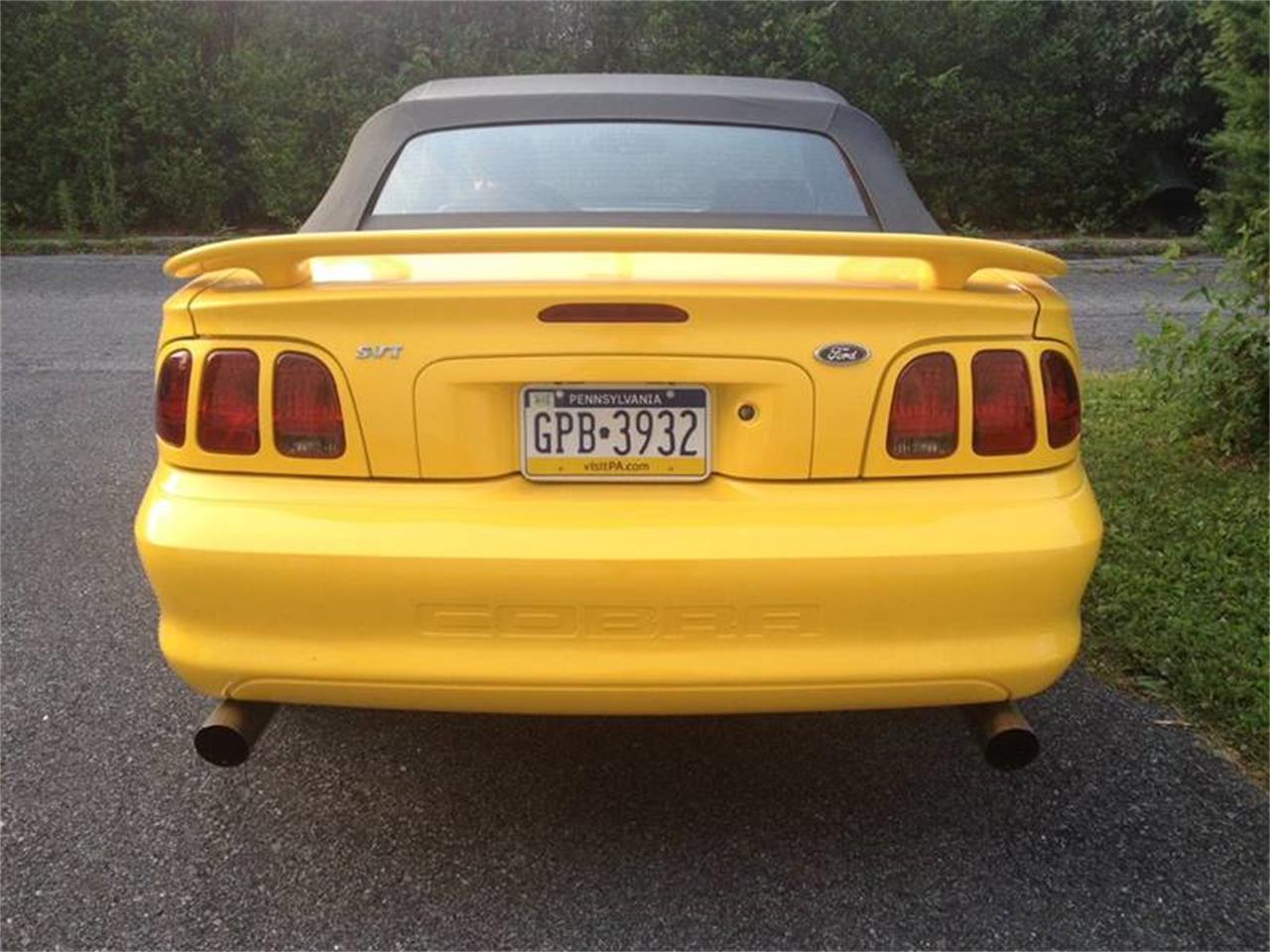 1998 Ford Mustang SVT Cobra for sale in Clarksburg, MD – photo 3