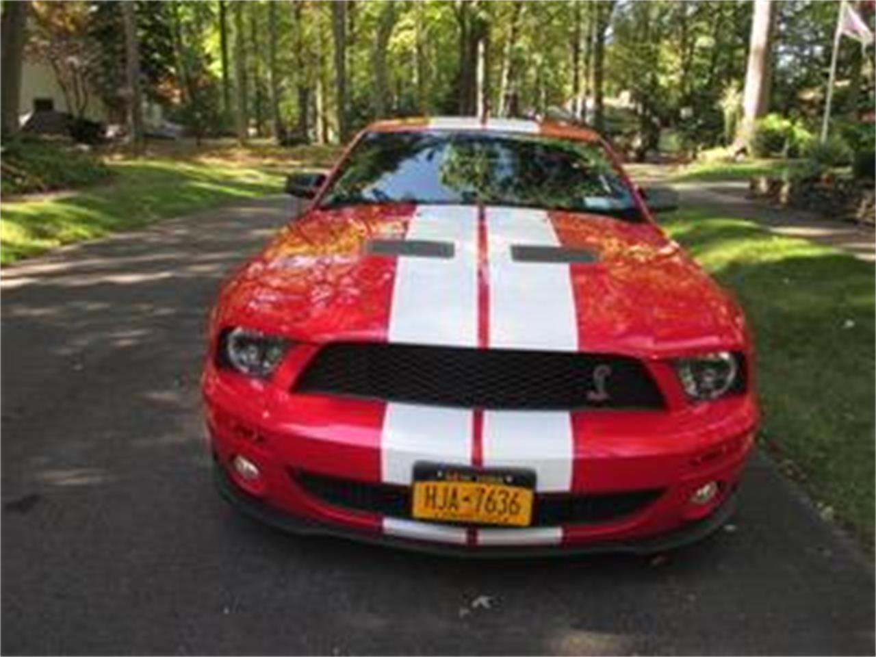 2009 Shelby GT500 for sale in Rochester , NY – photo 2