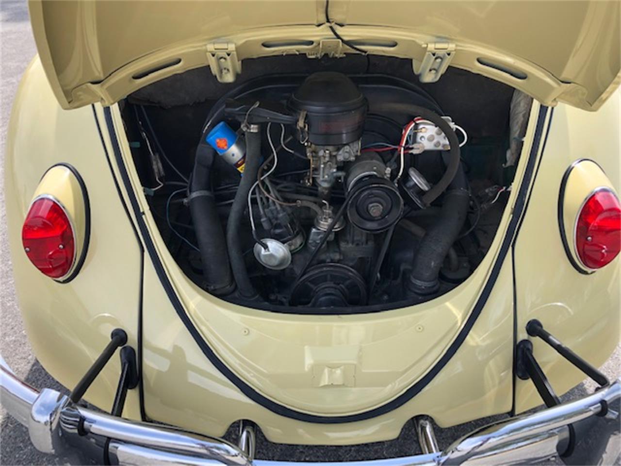 1964 Volkswagen Beetle for sale in Carlsbad, CA – photo 6