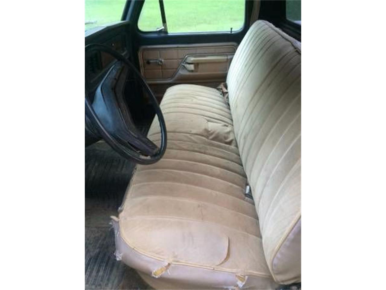 1978 Ford F150 for sale in Cadillac, MI – photo 2
