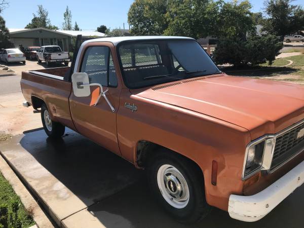 1973 Chevy Truck C10 long bed 2wd for sale in Whites City, NM