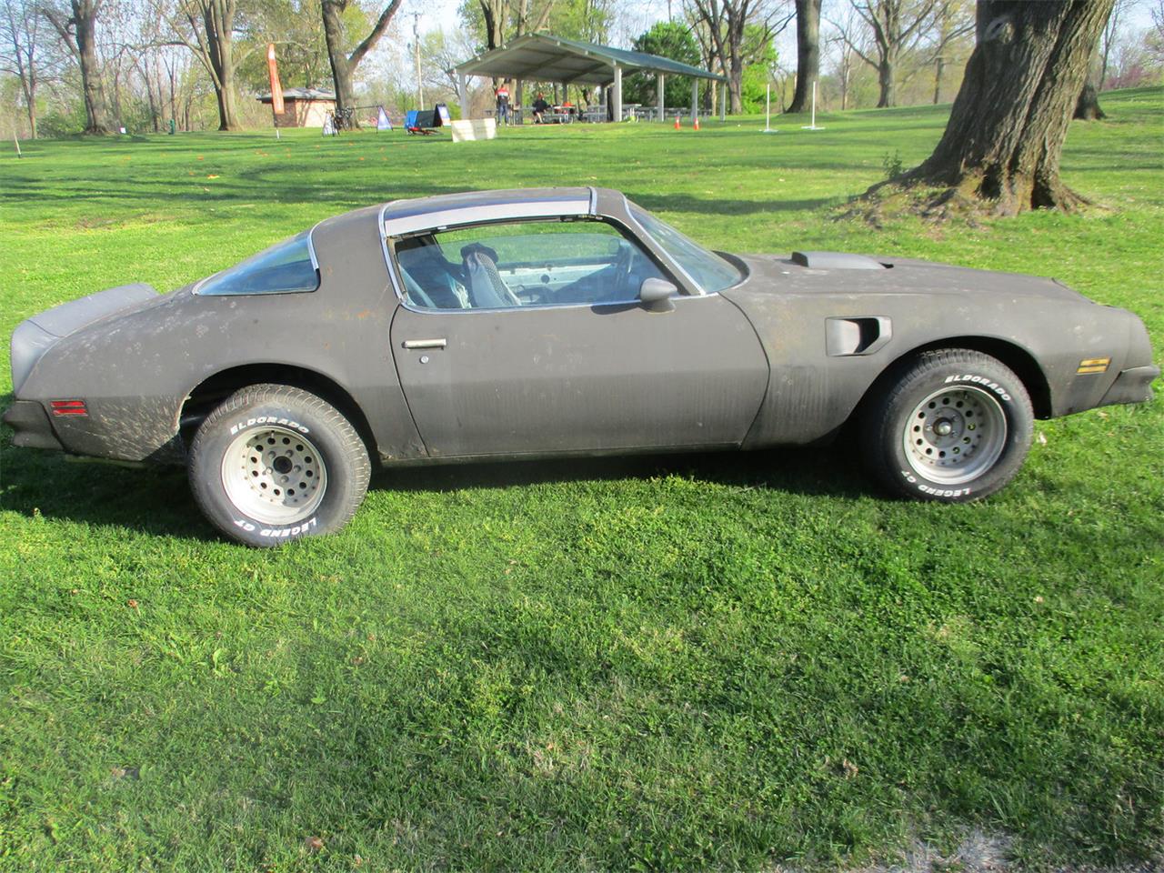 1976 Pontiac Firebird Trans Am for sale in Quincy, IL – photo 12