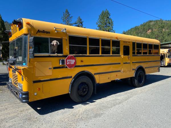 DT466 International school bus 2547 - - by dealer for sale in Other, OR