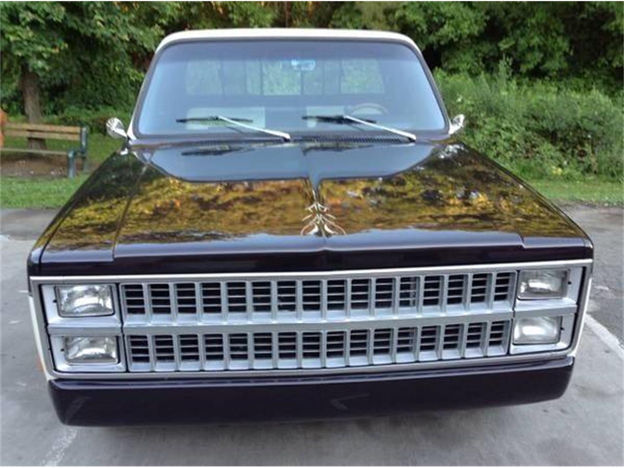 1981 Chevrolet Silverado for sale in Long Island, NY – photo 2