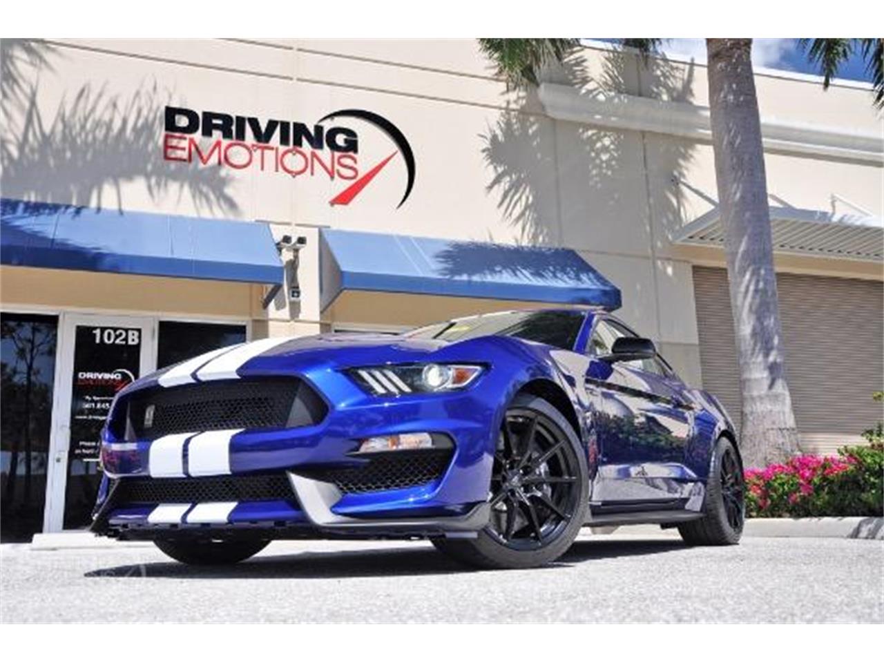 2015 Shelby GT350 for sale in West Palm Beach, FL – photo 43