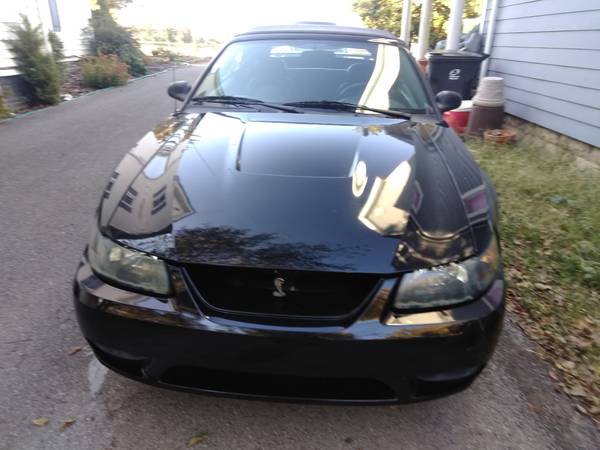 Mustang Cobra 2001 for sale in Richmond, OH – photo 3