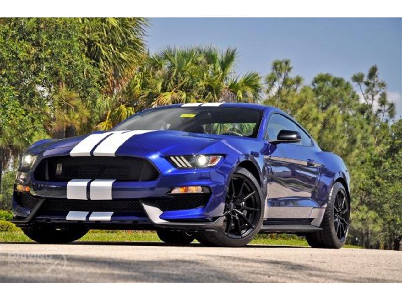 2015 Shelby GT350 for sale in West Palm Beach, FL – photo 67