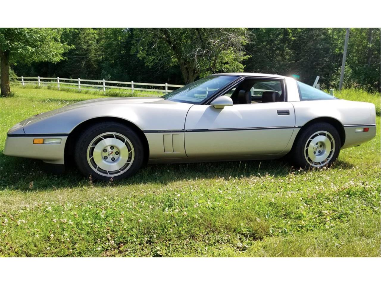 1986 Chevrolet Corvette for sale in Florence, WI