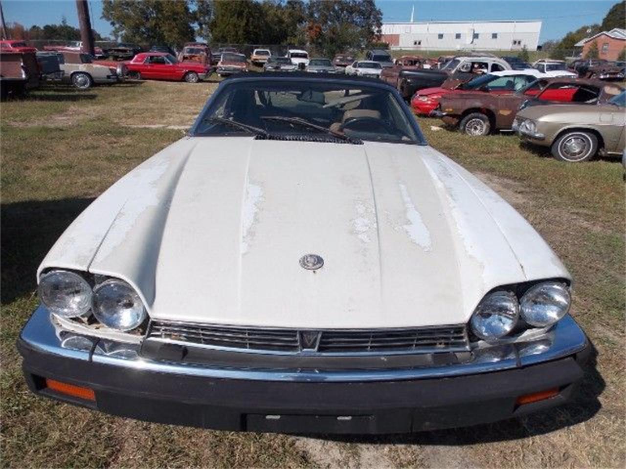 1990 Jaguar XJS for sale in Cadillac, MI