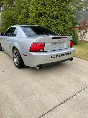 03 Mustang Terminator Cobra for sale in Greenwood, SC – photo 8