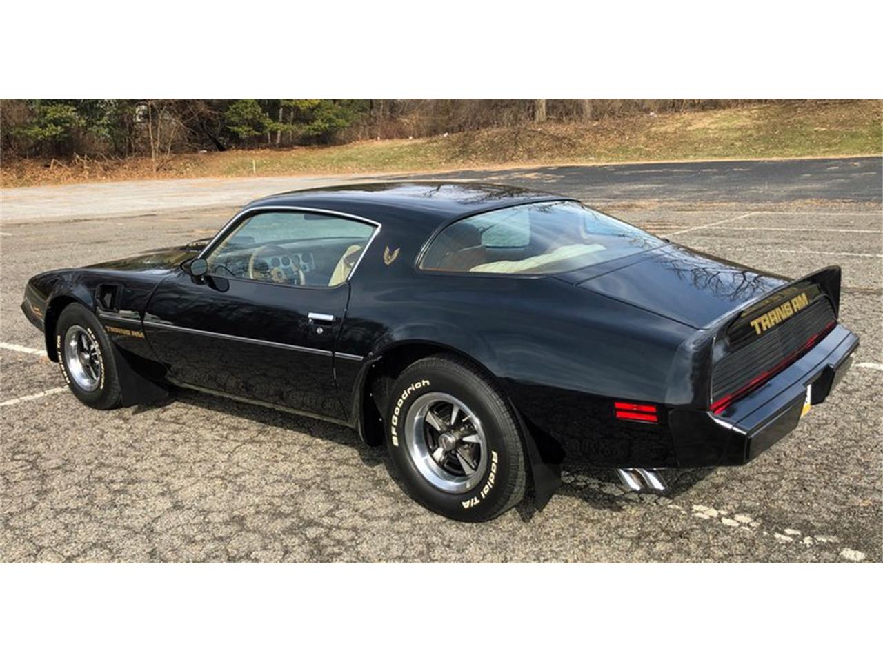 1979 Pontiac Firebird Trans Am for sale in West Chester, PA – photo 6