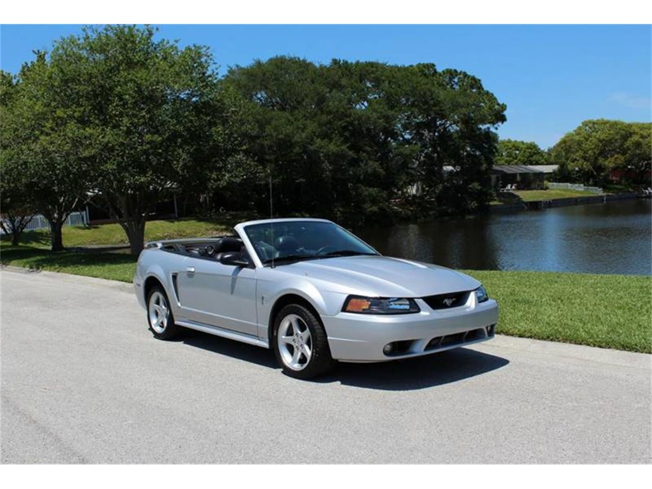 2001 Ford Mustang SVT Cobra for sale in Clearwater, FL – photo 5