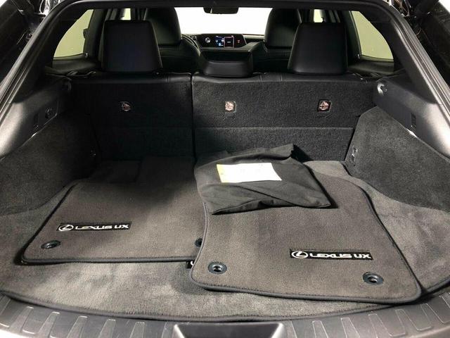 2020 Lexus UX 250h Base for sale in Other, TN – photo 26