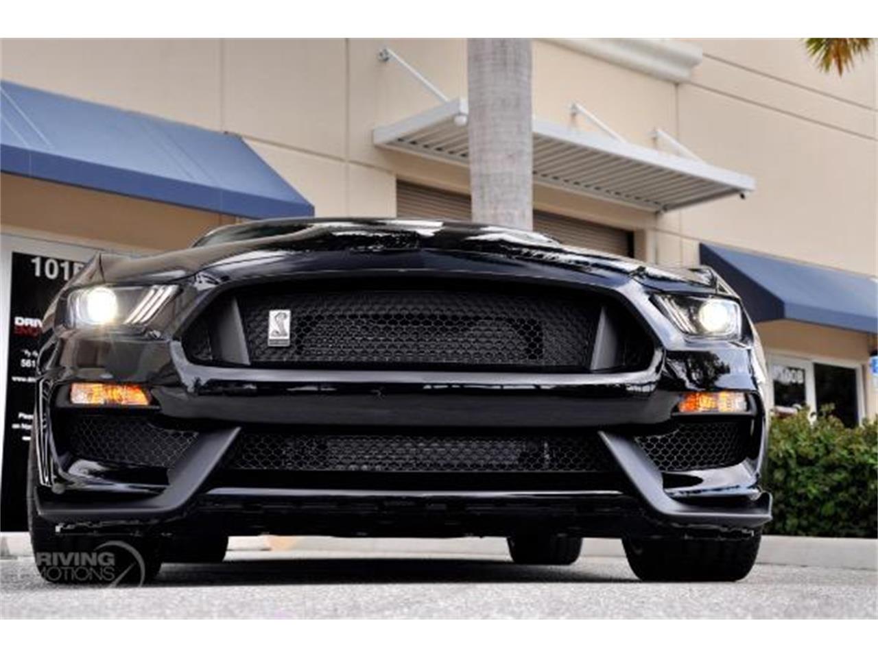 2015 Shelby GT350 for sale in West Palm Beach, FL – photo 43
