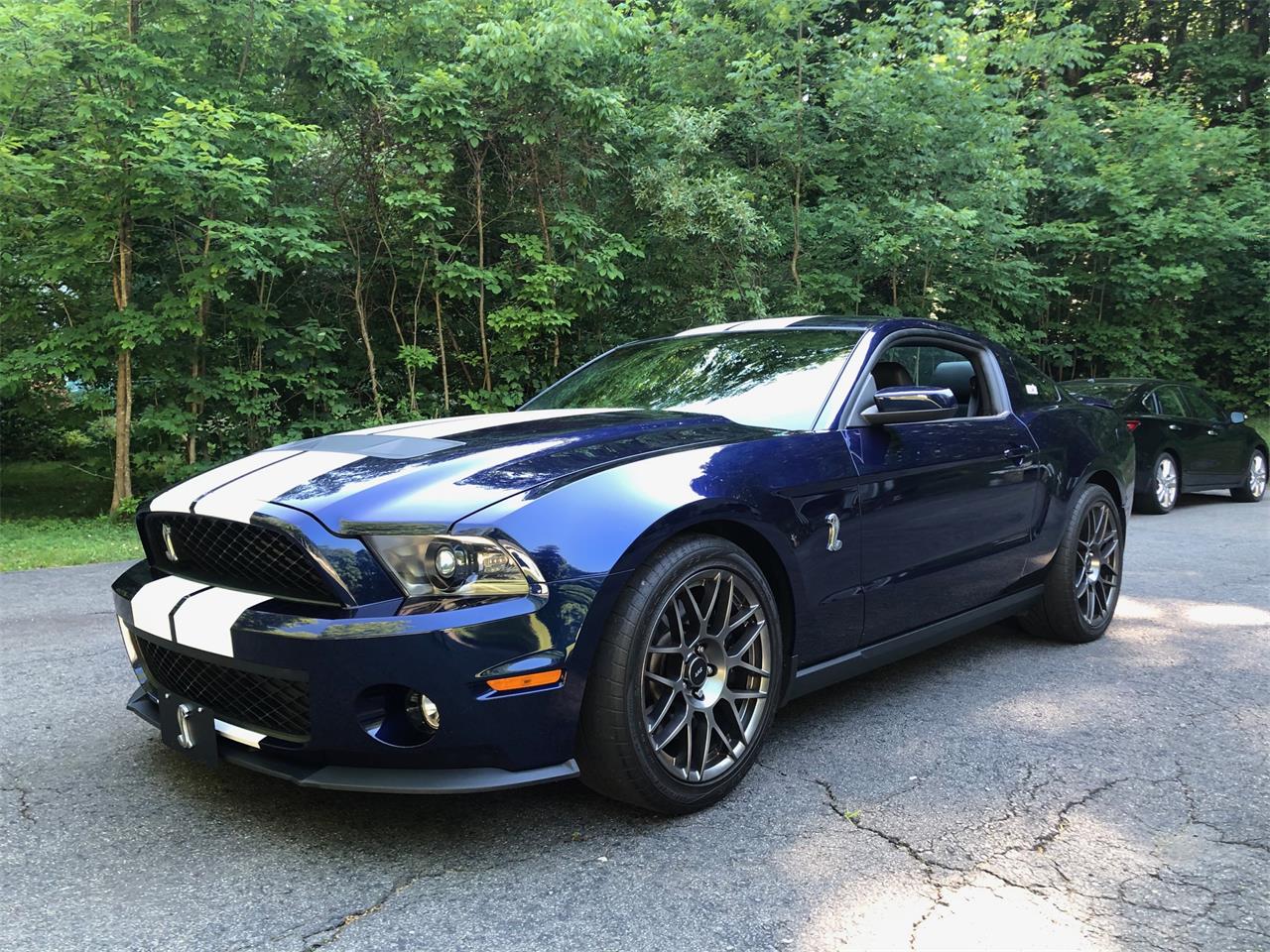 2011 Ford Shelby GT500 SVT for sale in Weare, NH