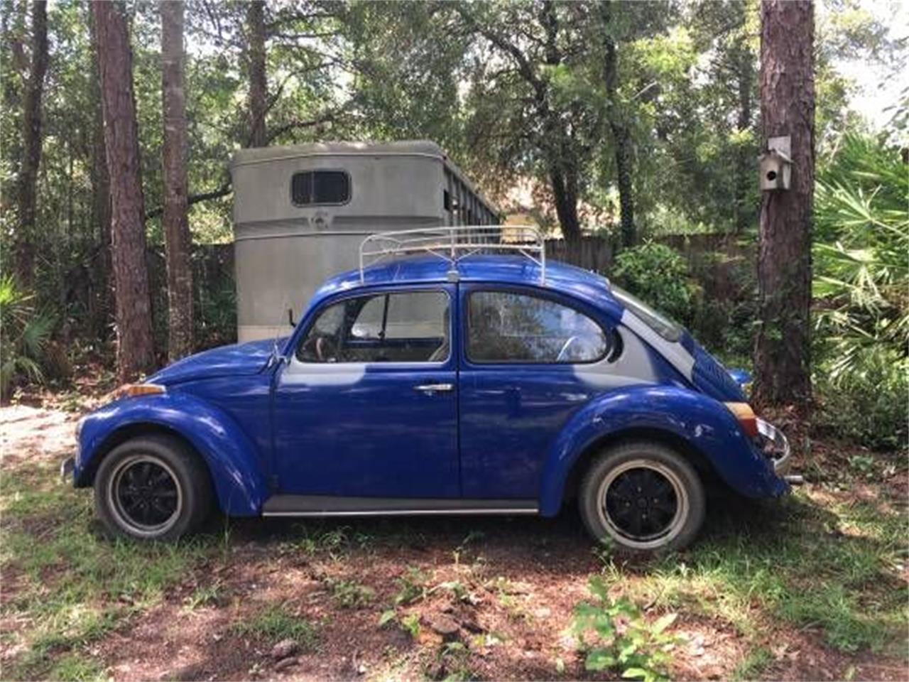 1974 Volkswagen Beetle for sale in Cadillac, MI – photo 4