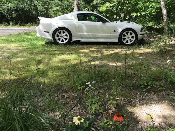 Venom mustang Stang 1 for sale in Temple, NH – photo 10