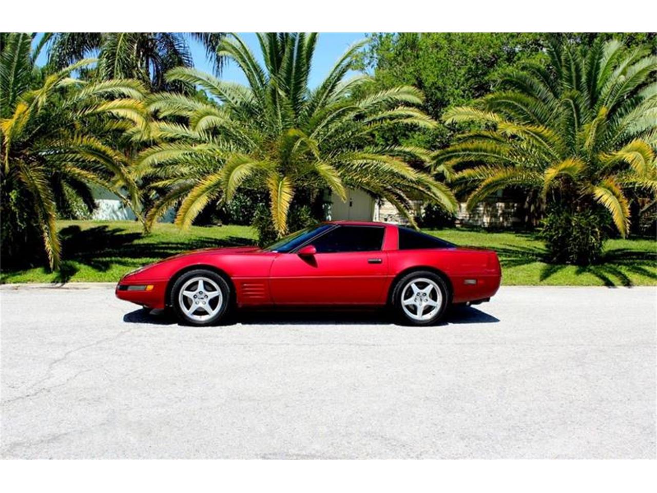 1994 Chevrolet Corvette for sale in Clearwater, FL – photo 3