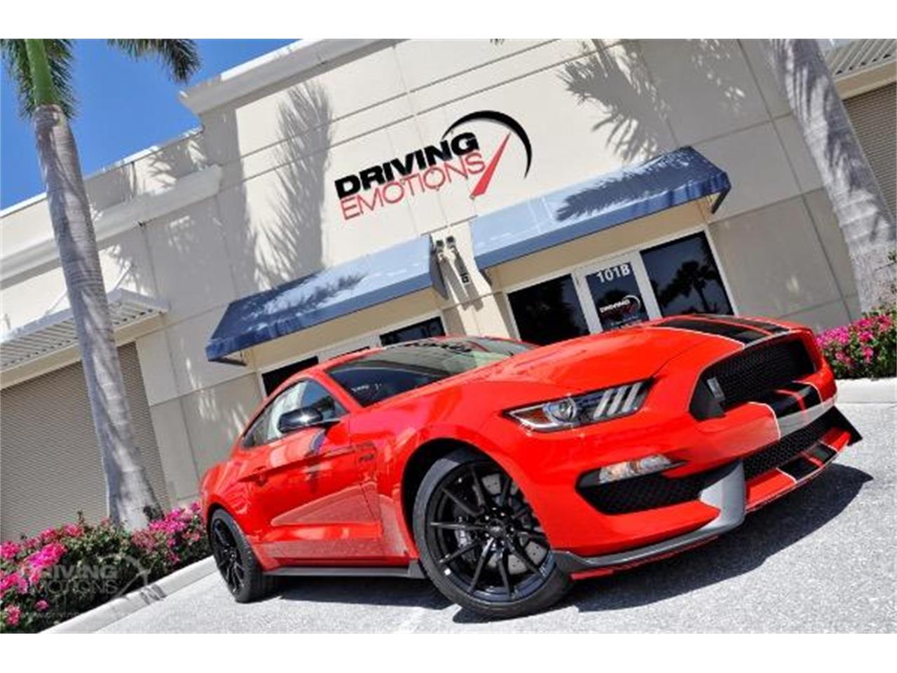 2015 Shelby GT350 for sale in West Palm Beach, FL – photo 5