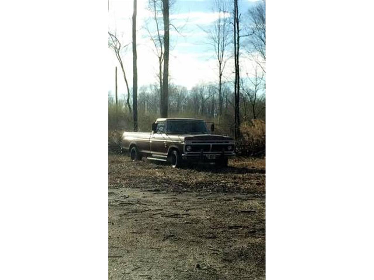 1976 Ford F150 for sale in Cadillac, MI – photo 3