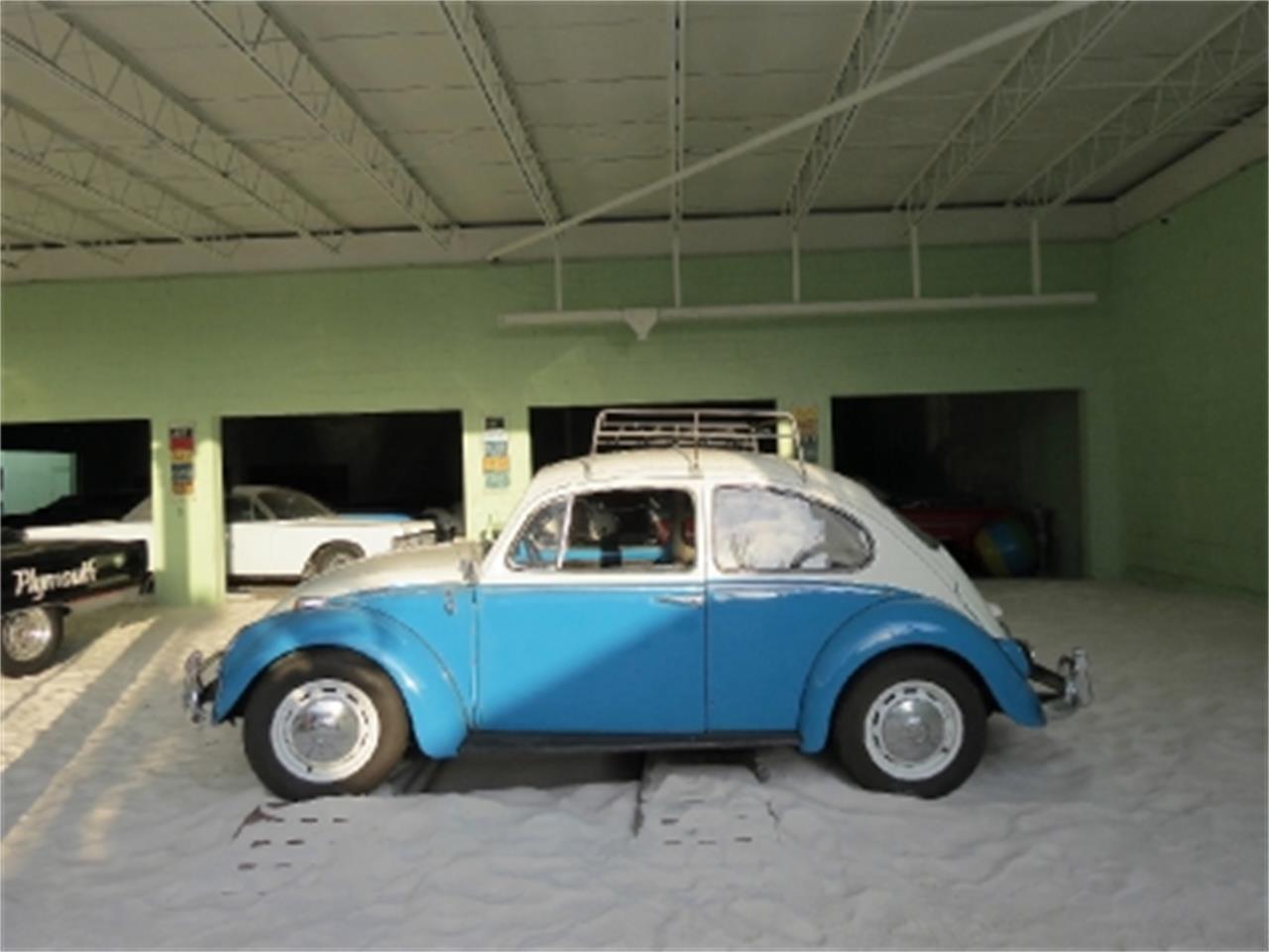 1966 Volkswagen Beetle for sale in Miami, FL – photo 6
